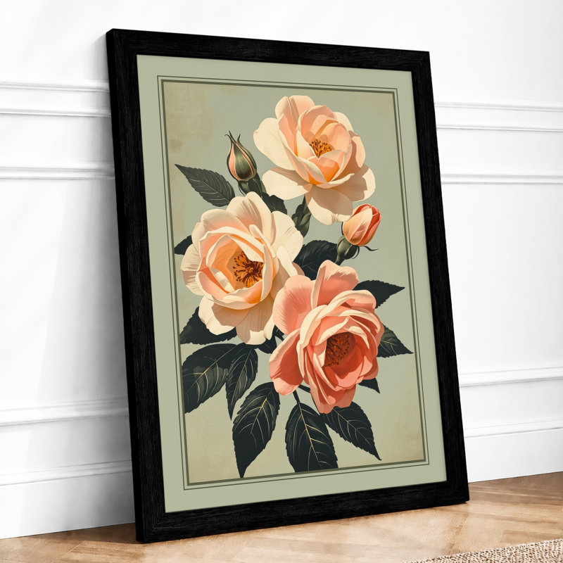 Peach Roses Study Botanical - Print, A1 - 84.1 x 59.4 cm, Black