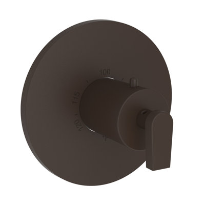 Dorrance 3/4" Round Thermostatic Trim Plate With Handle