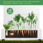 Lit de jardin en métal avec treillis et roues-612966970-612966969