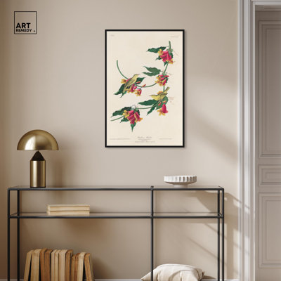 Art Remedy, reproduction d'art sur toile, fauvette de Rathbone, 1829
