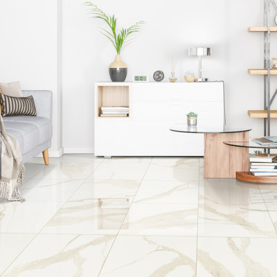 Carreau de plancher et de mur en porcelaine polie 24 po x 24 po Ardena