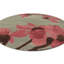 Hand Tufted Wool Floral Area Rug