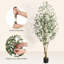 180cm Plant