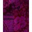 Overdyed Hand-Knotted Wool Modern-Contemporary Purple Area Rug 9' 1" x 11' 10"
