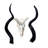Real Kudu Skull, Medium Size