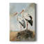 NAUTICAL Series CCL III - Gallery Cavas-118069683