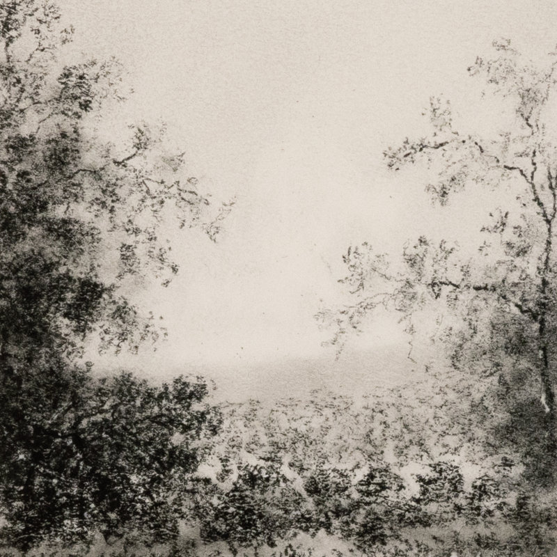 Landscape Study II Print by Aileen Fitzgerald