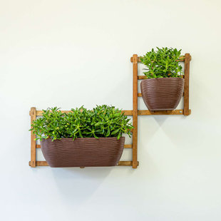 Wall Planter