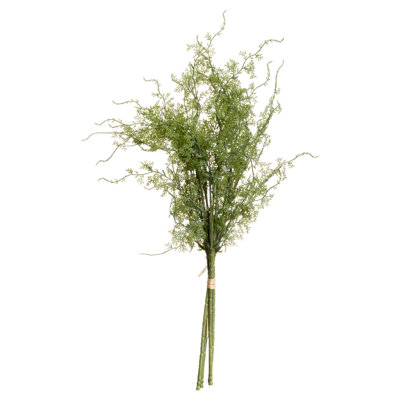 Anastasija Arrangement