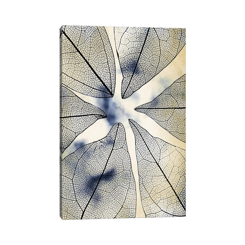 Transparent Leaves I 1 Piece Wrapped Canvas Wall Art, 101.6 cm H x 66.04 cm W