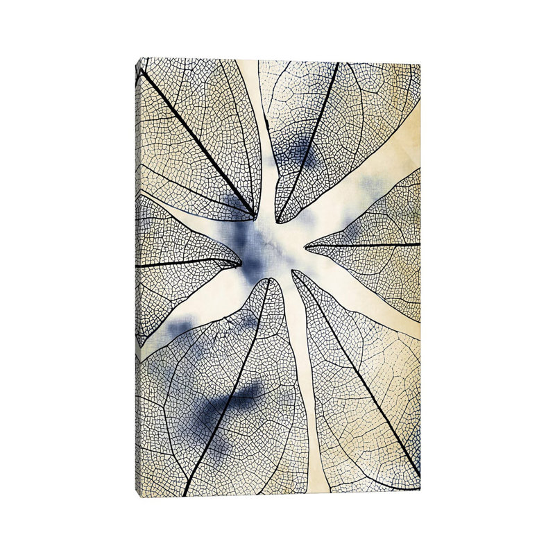 Transparent Leaves I by Kimberly Allen - Wrapped Canvas Print, 101.6cm H x 66.04cm W x 1.91cm D
