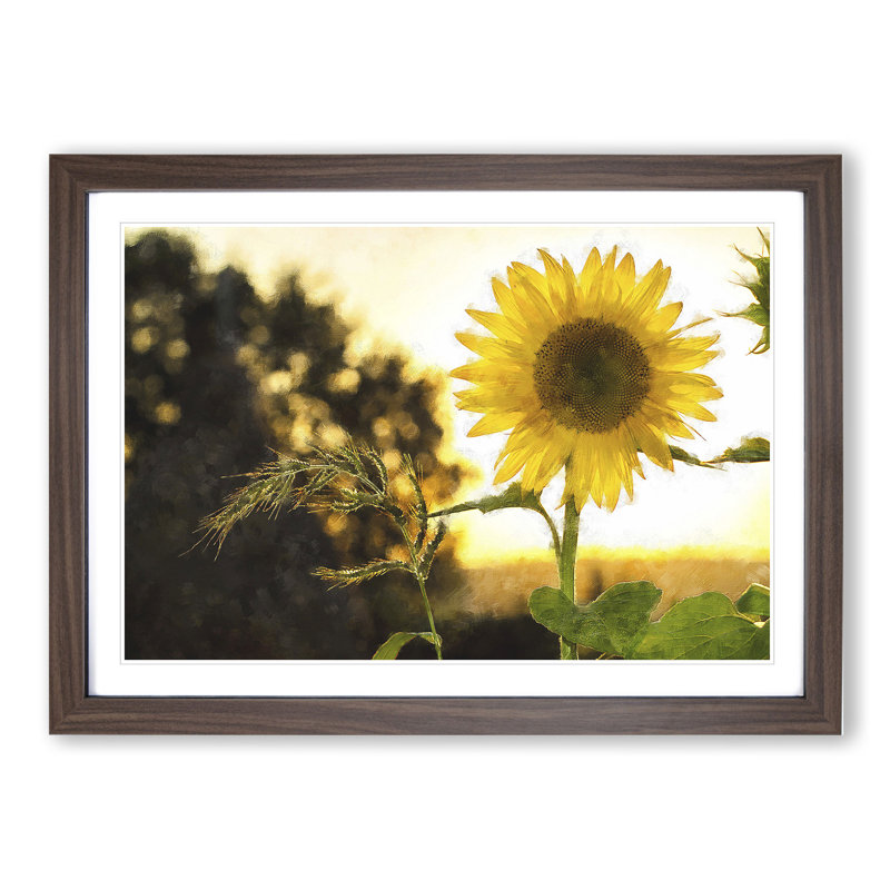Sunflower Vol.2 - Picture Frame Painting, Walnut Framed, 36cm H x 48cm W x 2cm D