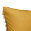  Coussin Feathers-540633885