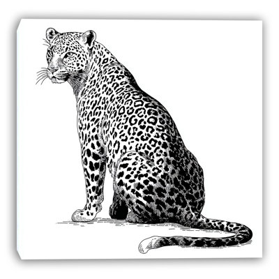 Classic Leopard Drawing Wrapped Canvas Wall Art
