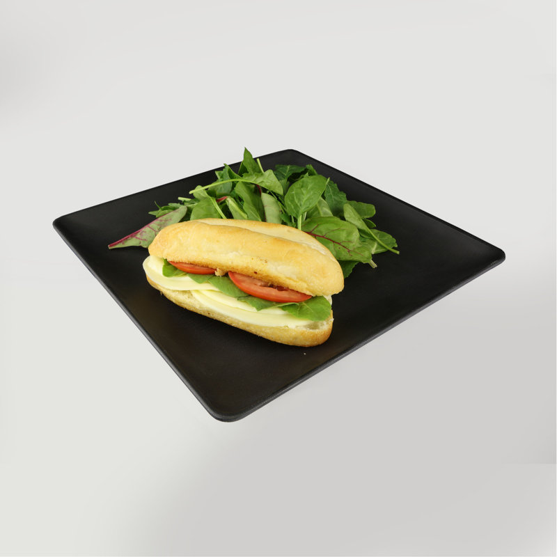 Greenovations 11" Dinner Plate, Black