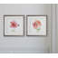 Simple étude i, ensemble de 2 reproductions encadrées-27609917
