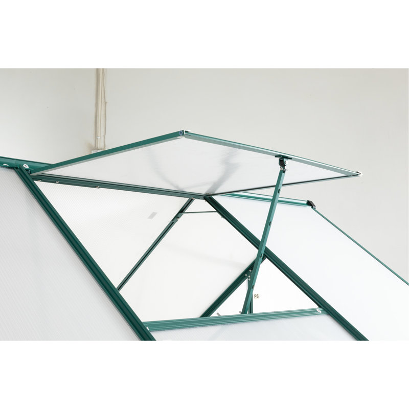 Serre 6 x 8 pi - Intérieur spacieux pour la culture de plantes diverses L'extérieur crée une croissance idéale du micro-climat avec toit réglable et ventilation