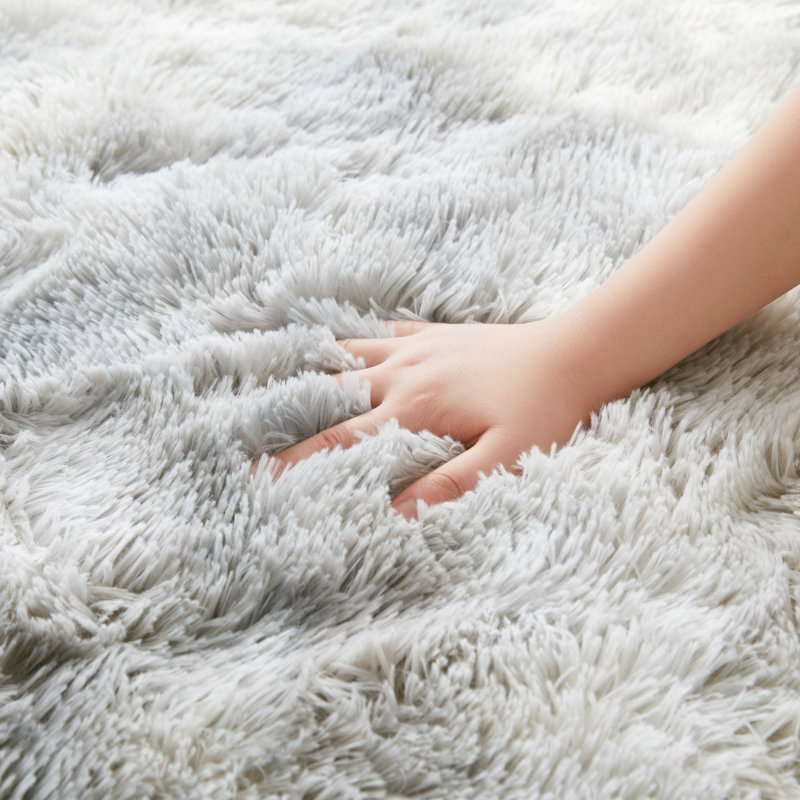 Chasie Deep Pile Shaggy Area Rug For Living Room, Rectangle 4' x 4'