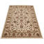 Oriental Area Rug-1975989168