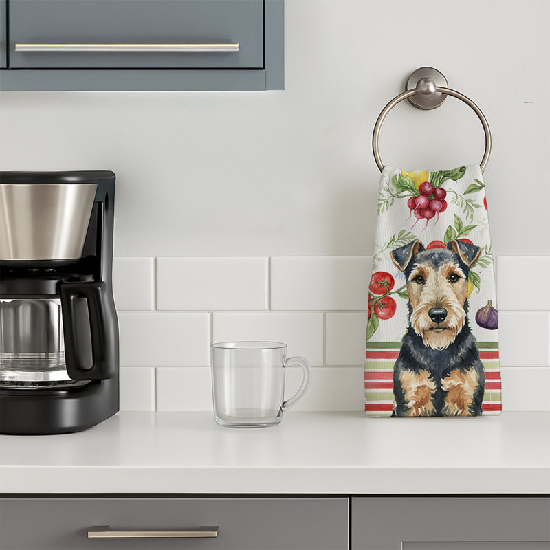 Torchon Welsh Terrier, Terrier gallois