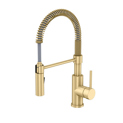 Vetta Pull Out Kitchen Faucet