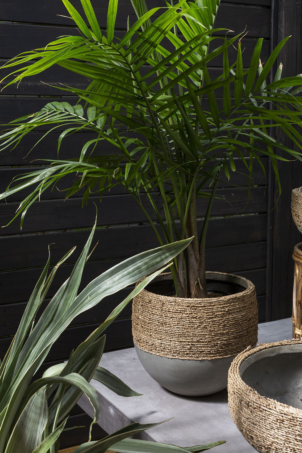 Concrete Pot Planter, 11.5" H x 12" W x 12" D