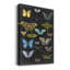 «Graphic Butterfly Taxonomie I», peinture sur toile tendue-2071163912