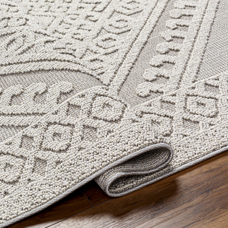 Tapis intérieur / extérieur gris tissé à la machine Abidemi, Tapis de couloir 2 pi 7 po x 7 pi 3 po