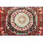 Area Rug in Red