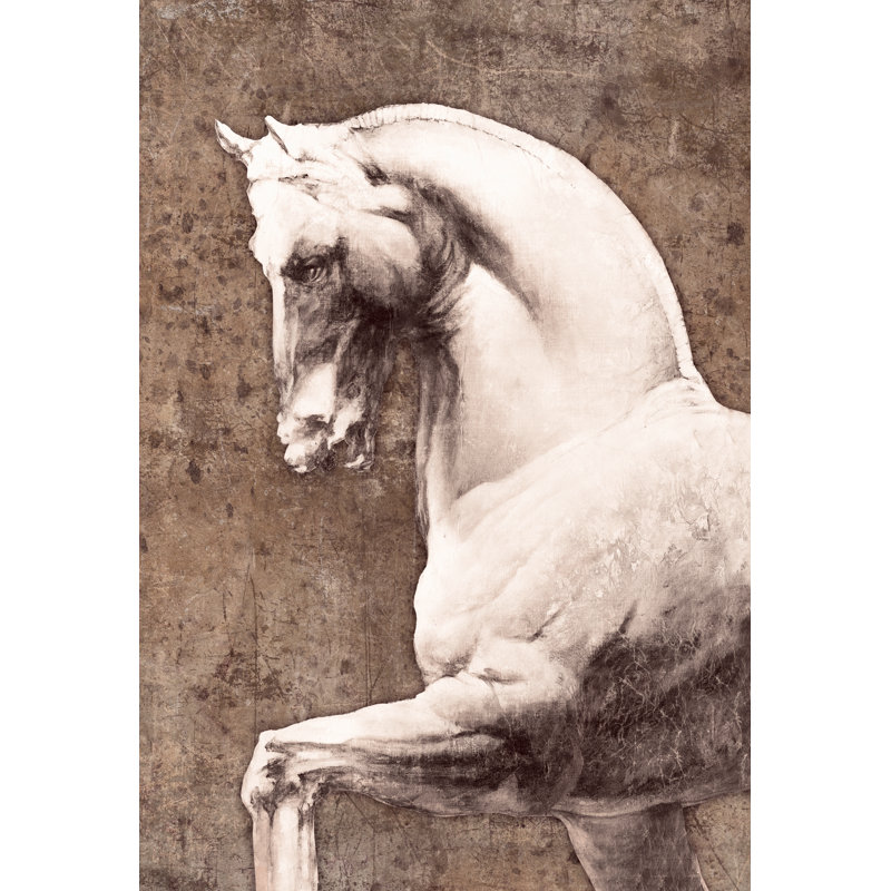 Horse - Wrapped Canvas Print, 122cm H x 81cm W