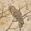 Papier peint L’attesa Nella Notte-112294259