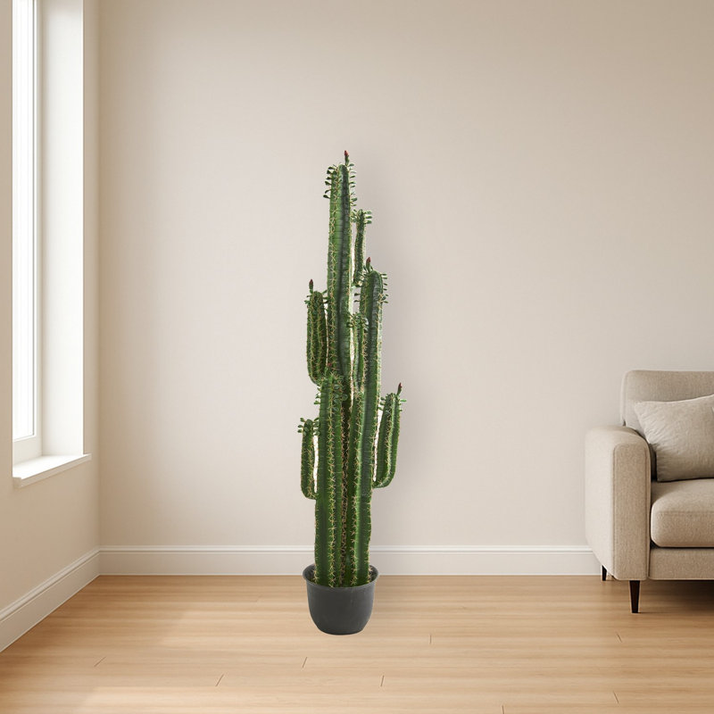 Cactus Artificial Plant