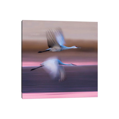 Sandhill Cranes Flying Over Lake, Socorro, New Mexico, USA - Wrapped Canvas Print