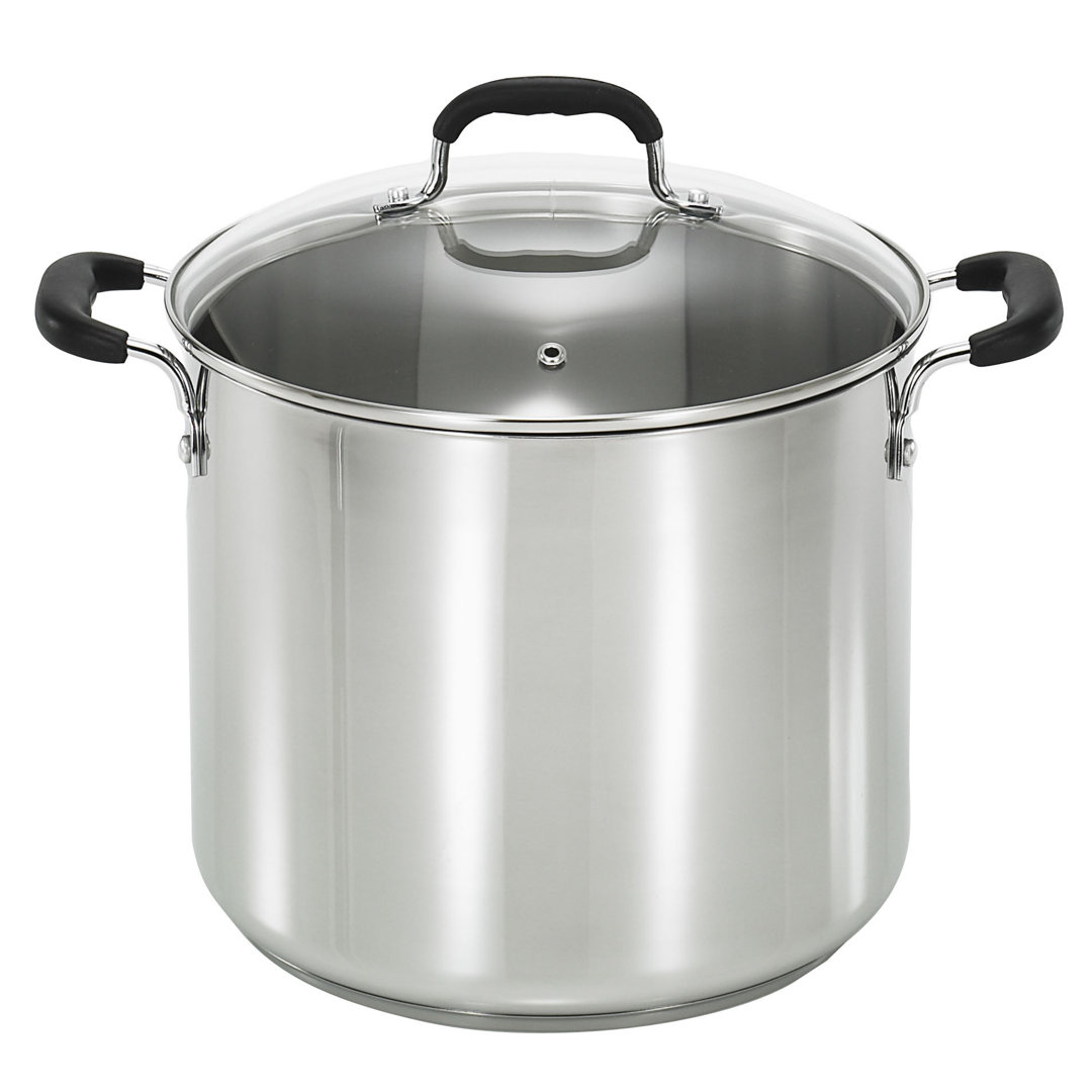 T-fal Stainless Steel 12 qt. Stockpot with lid T-fal