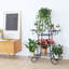 Support pour plante Beesan