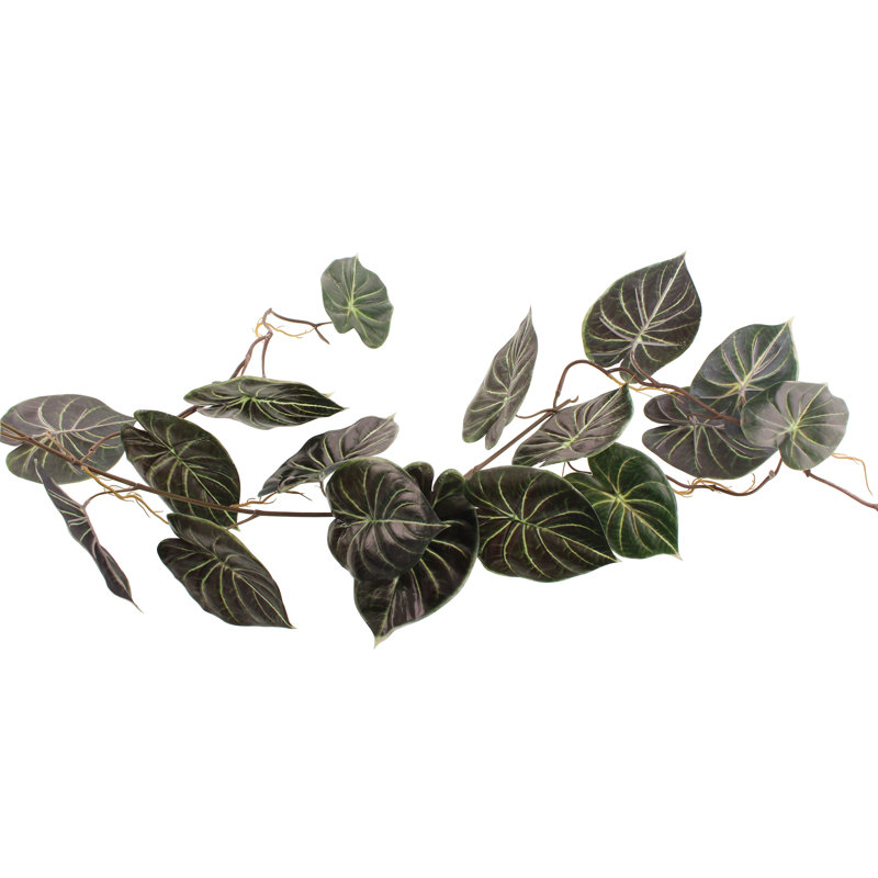 120cm Plant