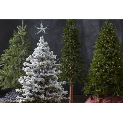 Arbre de Noël pin alpin