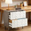 Classeur 2 tiroirs, armoire de rangement spacieuse-1109184884