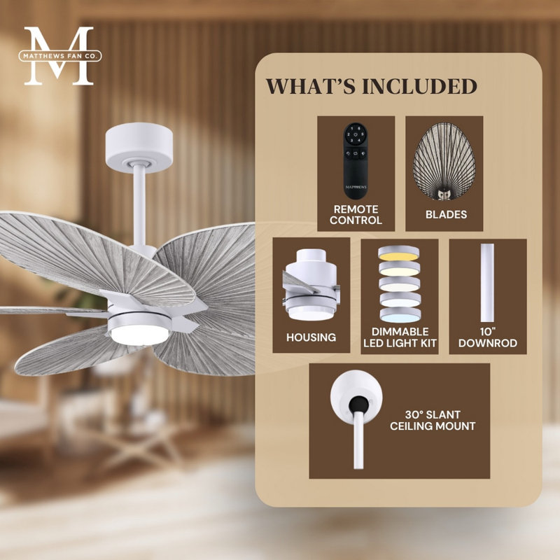 Alessandra Tropical - Five Blade Ceiling Fan - Integrated LED -Matte Black Finish -Light Blue Blades, Matte White