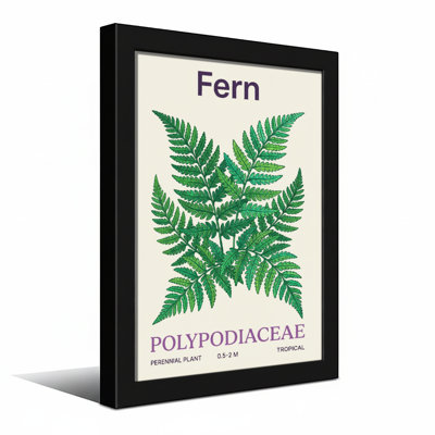 Plantes et fleurs, fougère, motif de feuilles vertes tropicales