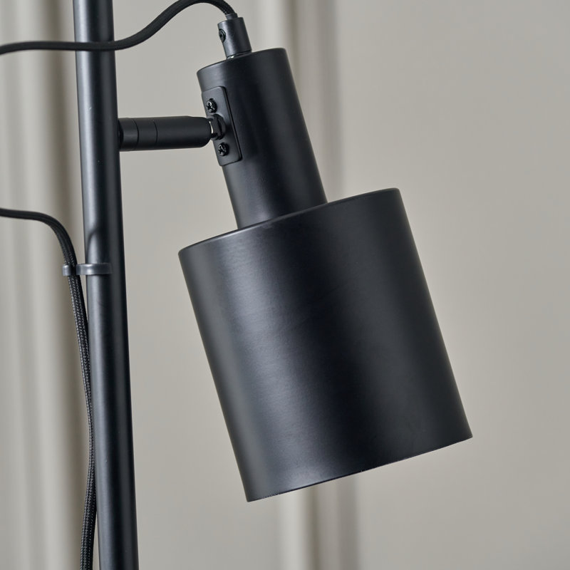 Deaisa 149.5cm Novelty Floor Lamp, Black