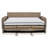 Griffin Queen Sleeper Sofa