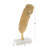 Aluminum Metal Feather Bird Decorative Gold Sculpture