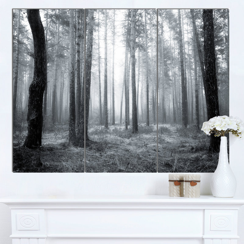 «Black and White Foggy Forest», ensemble de 3 reproductions de photos sur toiles tendues