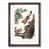 Walnut Framed