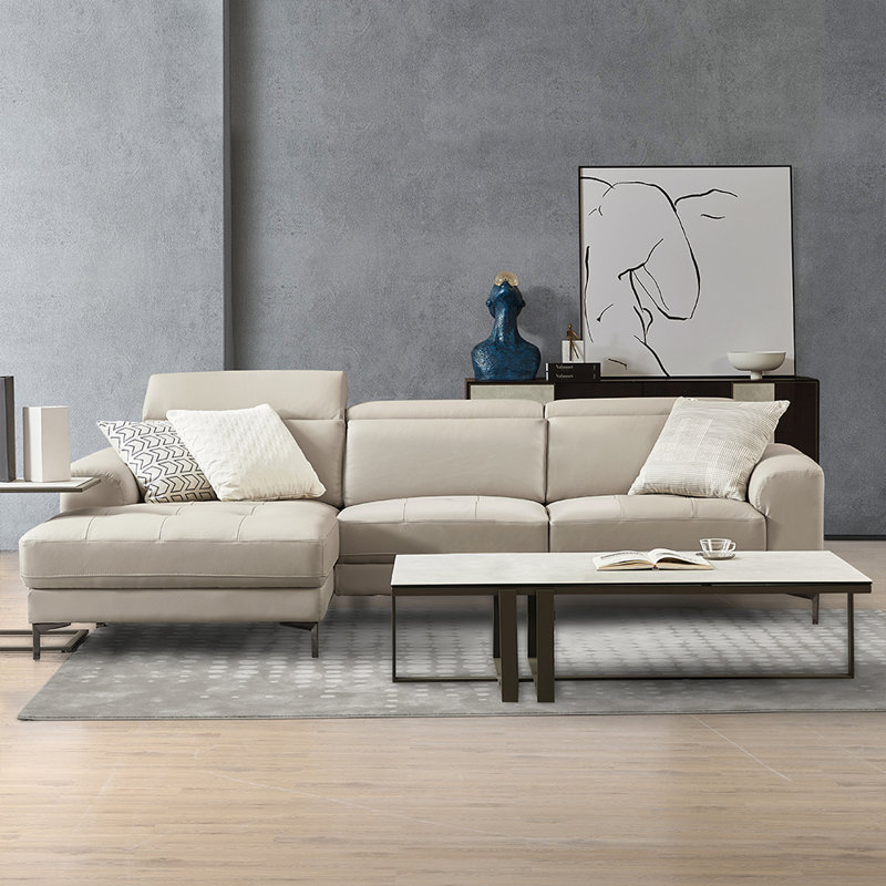 Ladonnia Gray Genuine Leather Sectional,Sectional Sofa,Left Hand Facing Chaise with Adjustable Headrest, Gray Genuine Leather