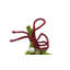 Mistletoe Holiday Shaped Ornament