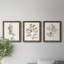 Neutral Botanical Study I - Ensemble de 3 reproductions d'art sur toile-1870357601-1870357657