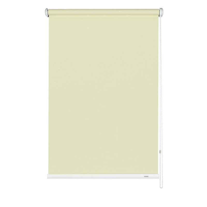 Semi Sheer Roll-Up Shade, Champagne, 180 cm L x 62 cm W