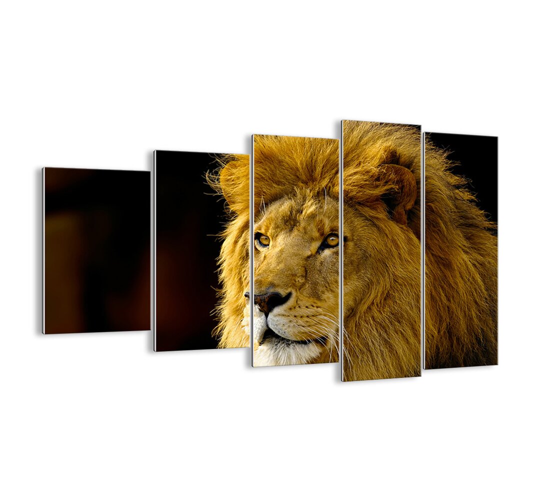 5-tlg. Glasbilder-Set - Fotografie „Lion King's portrait”